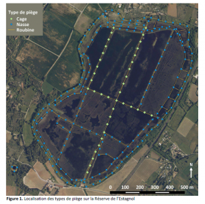plan des pièges de la réserve plan des pièges de la réserve